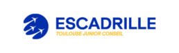 Escadrille Junior Conseil