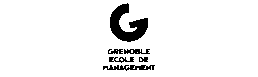 Grenoble Ecole de Management